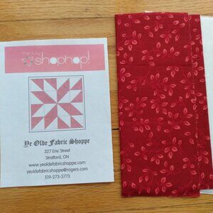 Quilt Block Sewing Pattern Kit with Fabric 2014 July Shop Hop Red White Pieced